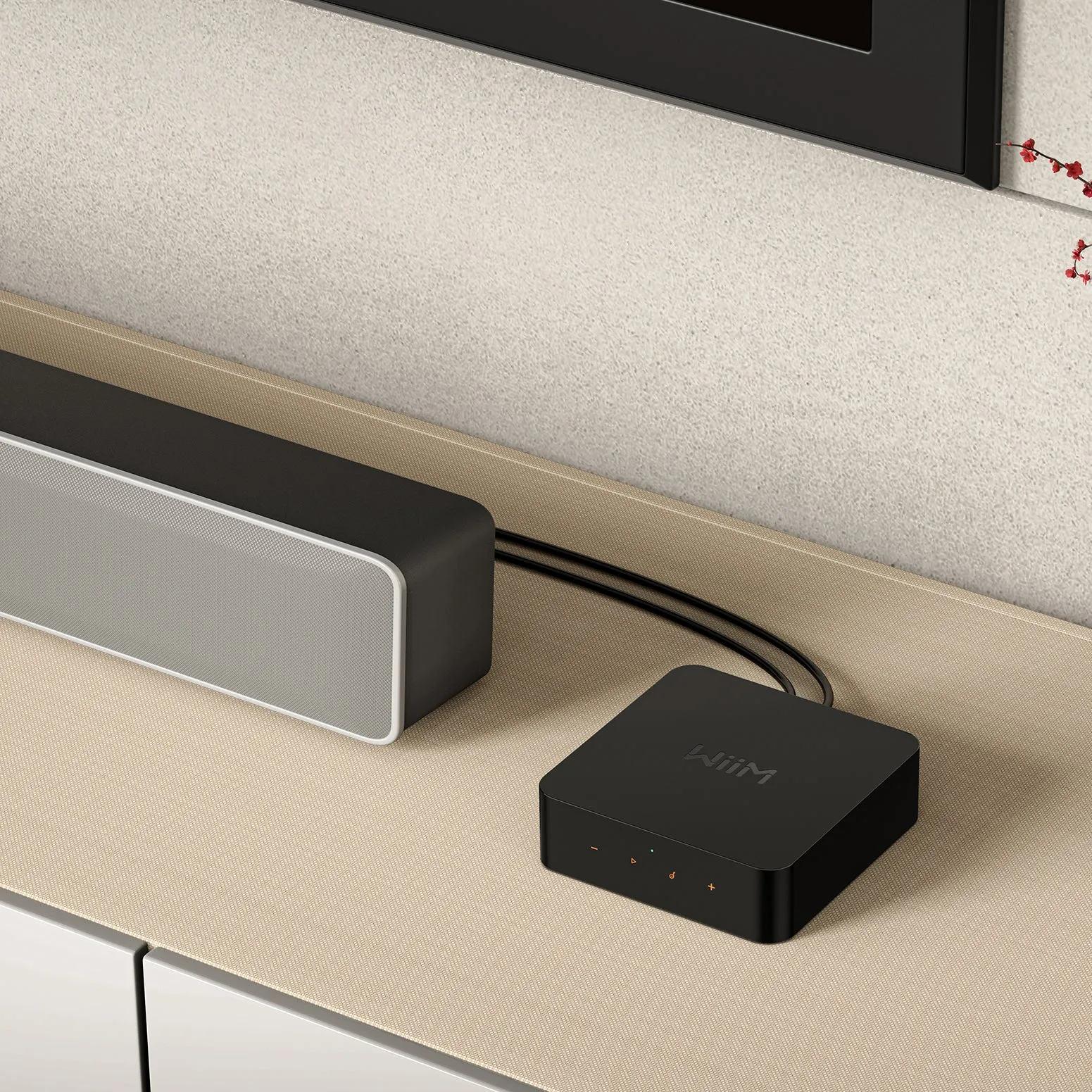 WiiM Pro Plus Wireless Audio Streamer AirPlay 2 & Chromecast